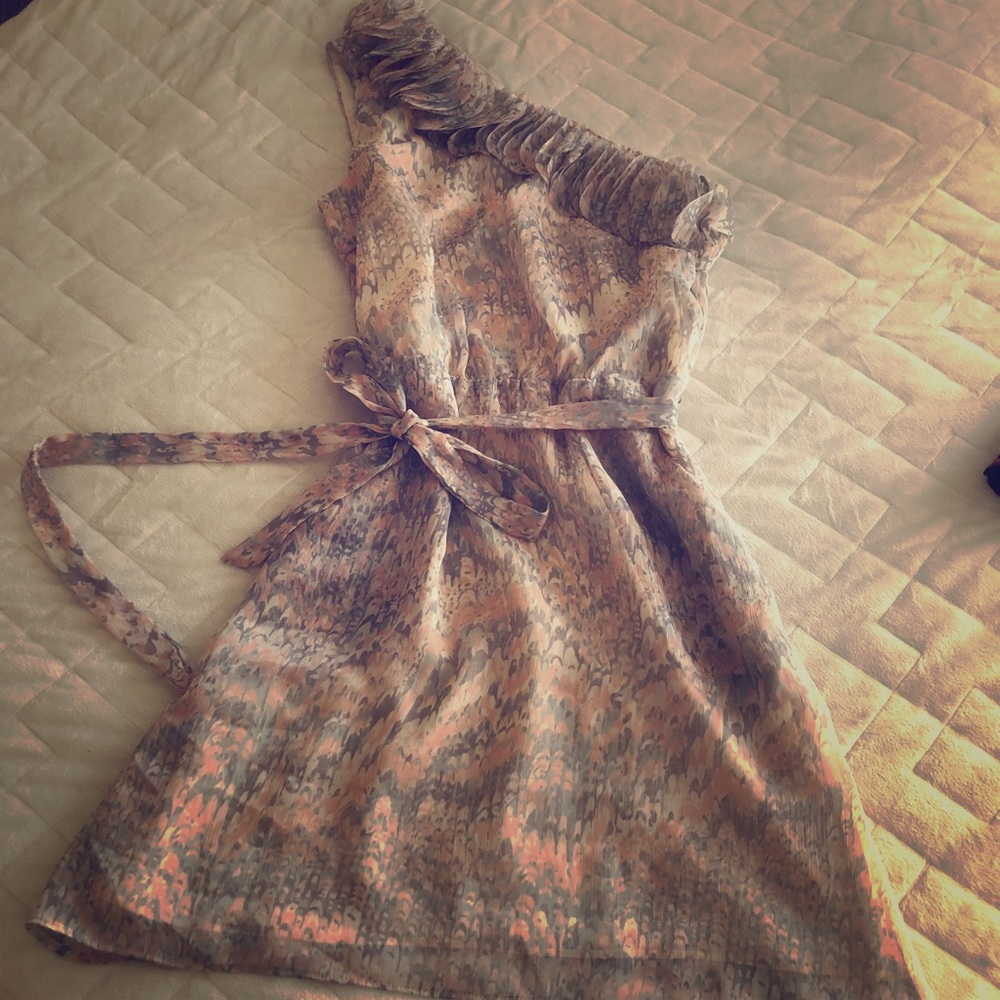 NWT Chelsea & Violet Dress